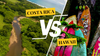 Costa Rica vs. Hawaii — choosing a warm weather destination