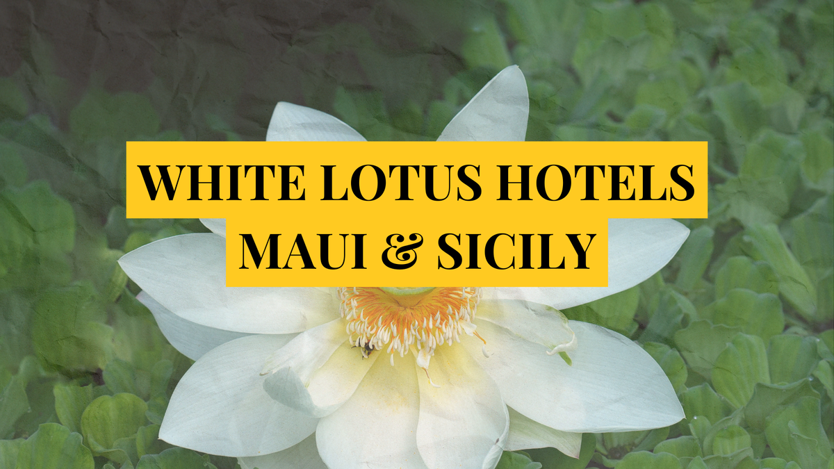 Where are the White Lotus hotels in Maui and Sicily?