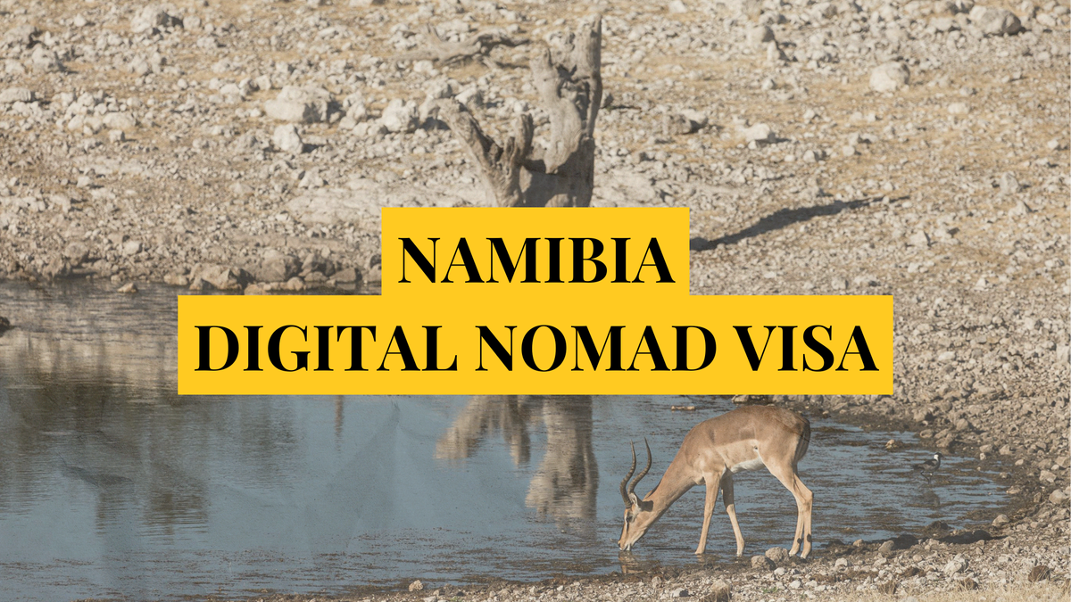 Namibia digital nomad visa: Remotely Serious Complete Guide